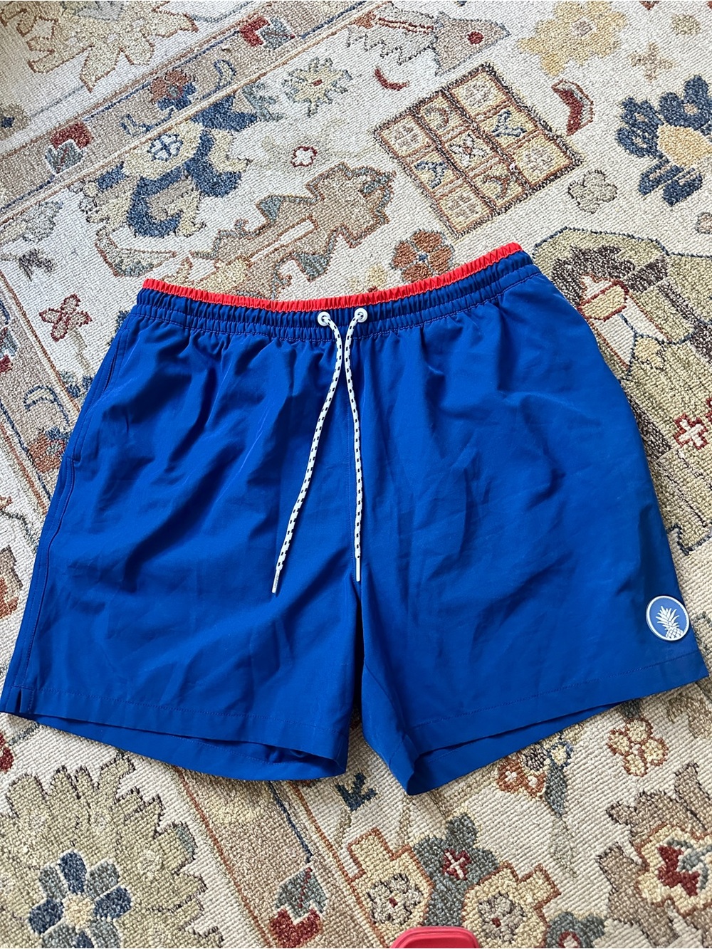 Mens Chubbies Navy Shorts sz XL